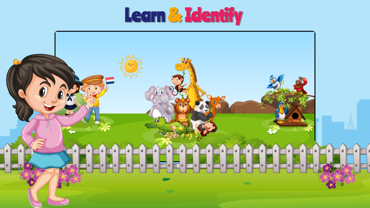 Learn & identify shapes