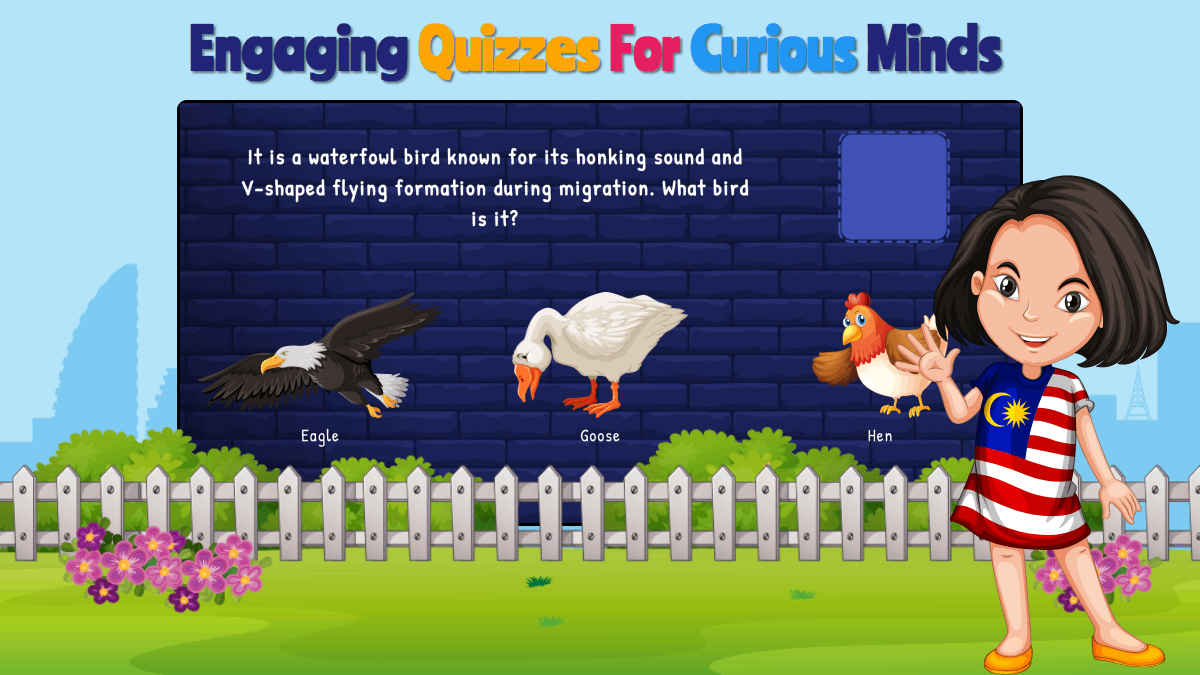 Engaging quizzes for curious minds about shapes and colors